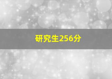 研究生256分