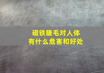 磁铁睫毛对人体有什么危害和好处