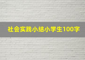 社会实践小结小学生100字