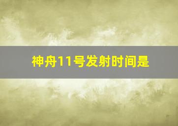 神舟11号发射时间是