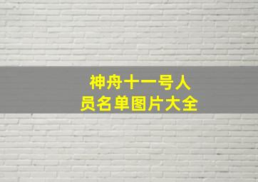 神舟十一号人员名单图片大全