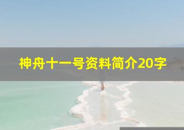 神舟十一号资料简介20字