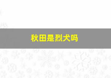 秋田是烈犬吗