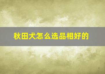 秋田犬怎么选品相好的