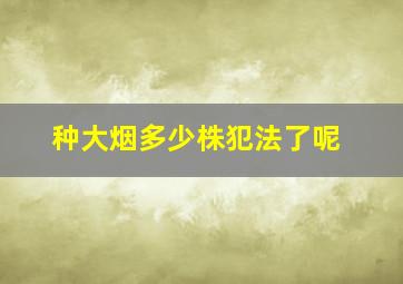 种大烟多少株犯法了呢