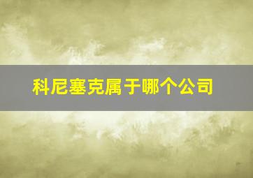 科尼塞克属于哪个公司