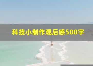 科技小制作观后感500字