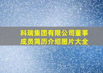 科瑞集团有限公司董事成员简历介绍图片大全