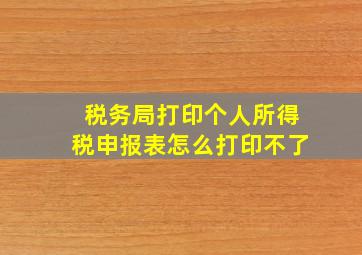 税务局打印个人所得税申报表怎么打印不了