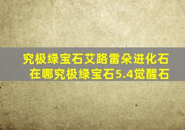 究极绿宝石艾路雷朵进化石在哪究极绿宝石5.4觉醒石