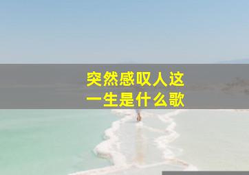 突然感叹人这一生是什么歌