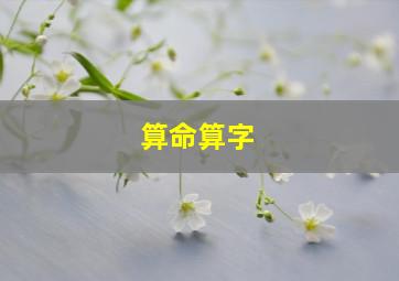 算命算字