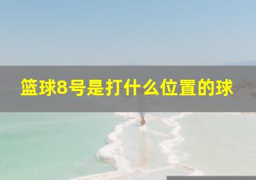 篮球8号是打什么位置的球