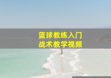 篮球教练入门战术教学视频