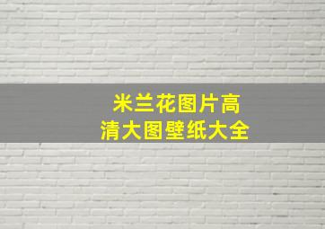 米兰花图片高清大图壁纸大全