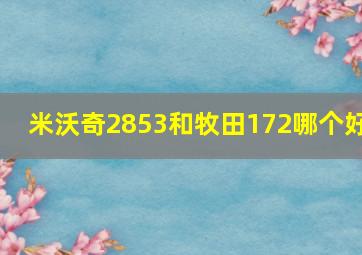 米沃奇2853和牧田172哪个好