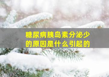 糖尿病胰岛素分泌少的原因是什么引起的