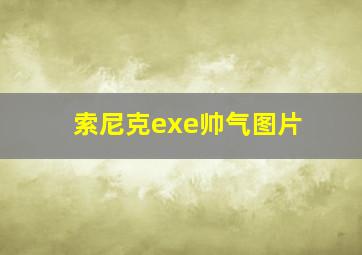 索尼克exe帅气图片