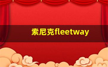 索尼克fleetway