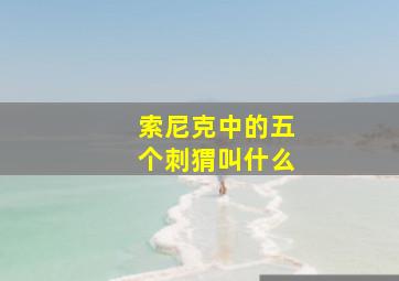 索尼克中的五个刺猬叫什么