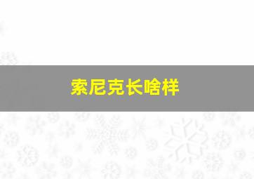 索尼克长啥样