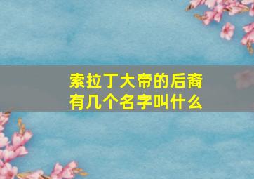 索拉丁大帝的后裔有几个名字叫什么