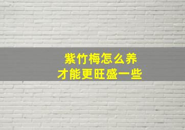 紫竹梅怎么养才能更旺盛一些