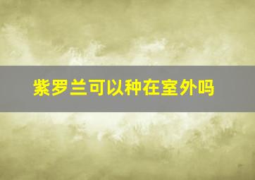 紫罗兰可以种在室外吗