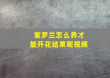 紫罗兰怎么养才能开花结果呢视频