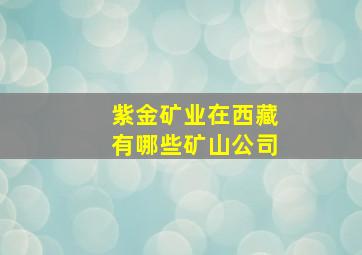 紫金矿业在西藏有哪些矿山公司