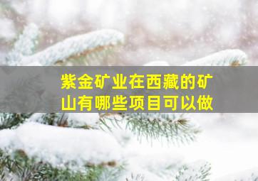 紫金矿业在西藏的矿山有哪些项目可以做