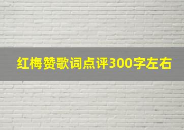 红梅赞歌词点评300字左右