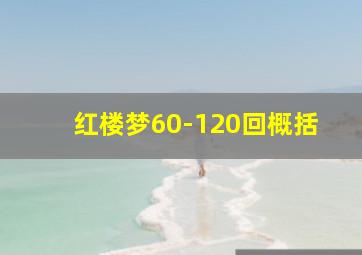 红楼梦60-120回概括