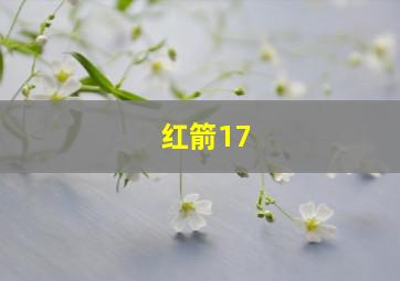 红箭17