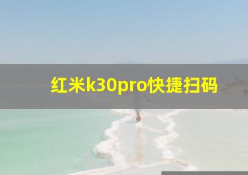 红米k30pro快捷扫码