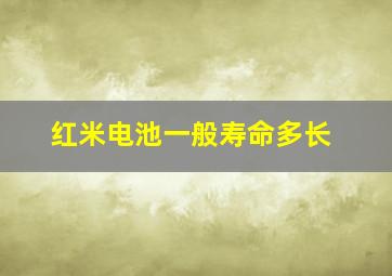 红米电池一般寿命多长