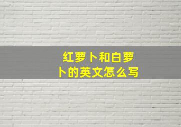 红萝卜和白萝卜的英文怎么写