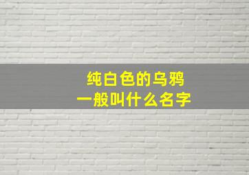 纯白色的乌鸦一般叫什么名字