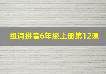 组词拼音6年级上册第12课