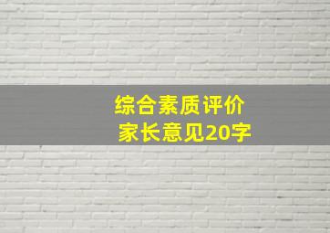 综合素质评价家长意见20字