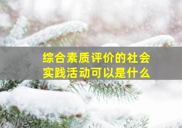 综合素质评价的社会实践活动可以是什么