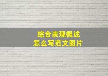 综合表现概述怎么写范文图片