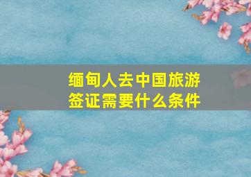 缅甸人去中国旅游签证需要什么条件