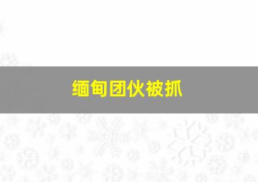 缅甸团伙被抓