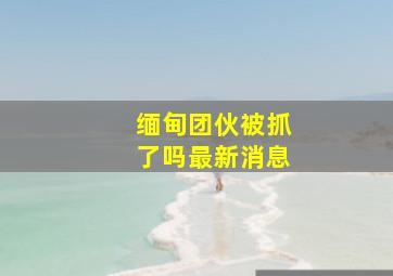 缅甸团伙被抓了吗最新消息