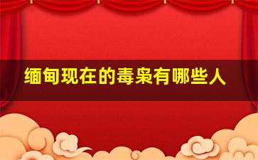 缅甸现在的毒枭有哪些人