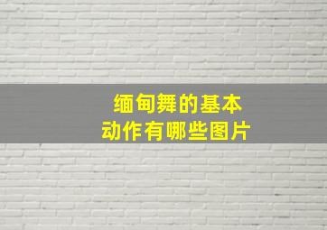 缅甸舞的基本动作有哪些图片