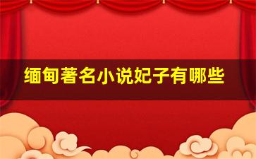 缅甸著名小说妃子有哪些