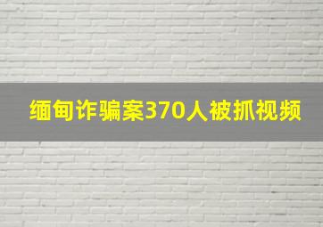 缅甸诈骗案370人被抓视频