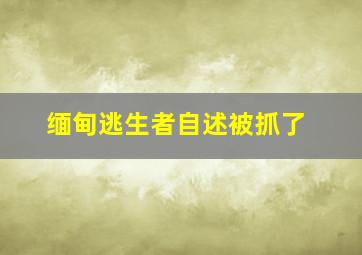 缅甸逃生者自述被抓了